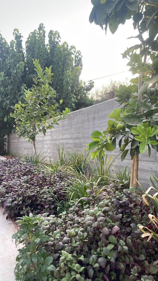 סוויטה פרטית ברמת צבי Hotel Exterior foto